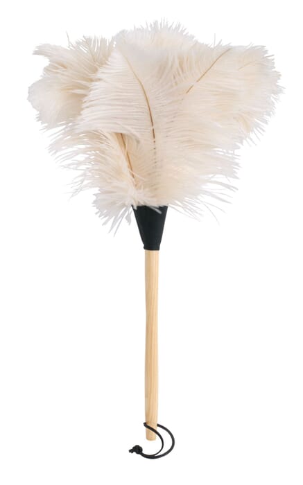 Ostrich frond white