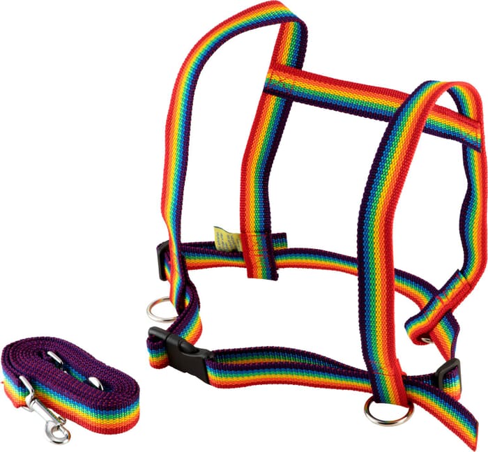 Horse Leash and Halter