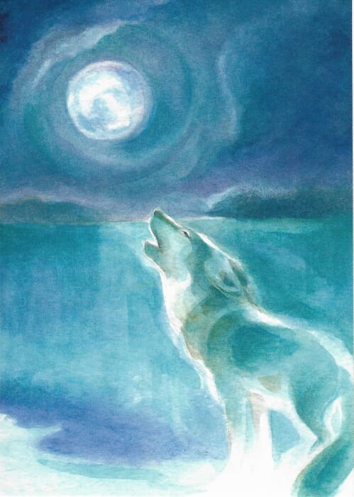 Postkarte Wolf