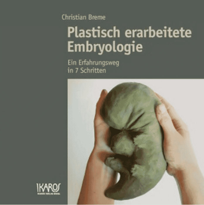 Plastisch erarbeitete Embryologie