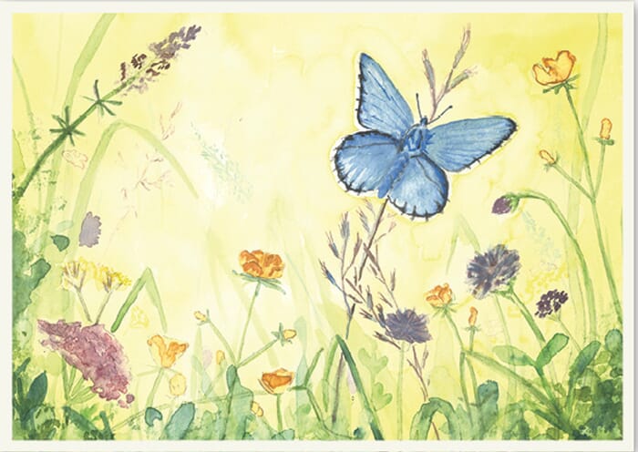 Postal: Mariposa en un prado