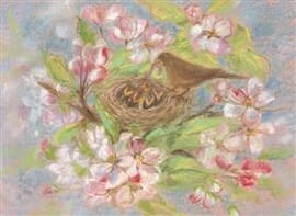 Postkarte Vogel im Nest