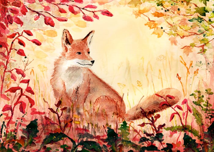 Postcard Fox in Autumn Forest