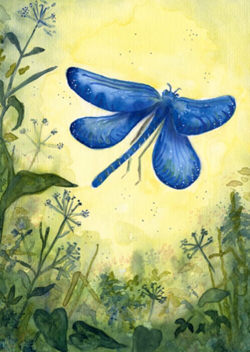 Ansichtkaart blauwe libelle