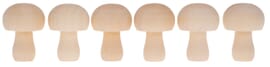 Funghi di legno