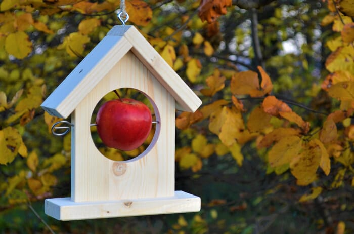 Kit to make your own Apple Feeder for Birds