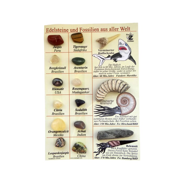 Gemstones and fossils collection board